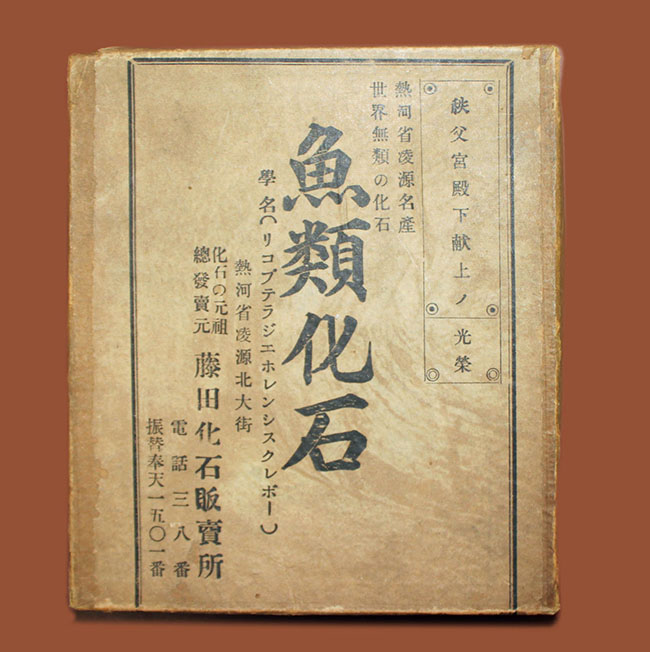 化石というより骨董品。熱河省（ねっかしょう）産リコプテラ魚化石
