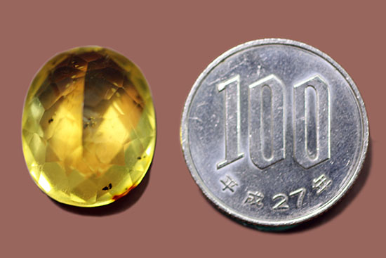 美しさを最大限まで引き出す宝石カット!バルト海産虫入りアンバー(琥珀)(その8)