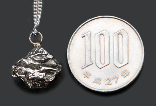 ナイスサイズ！鉄隕石、カンポ・デル・シエロ（Campo del Cielo）鉄