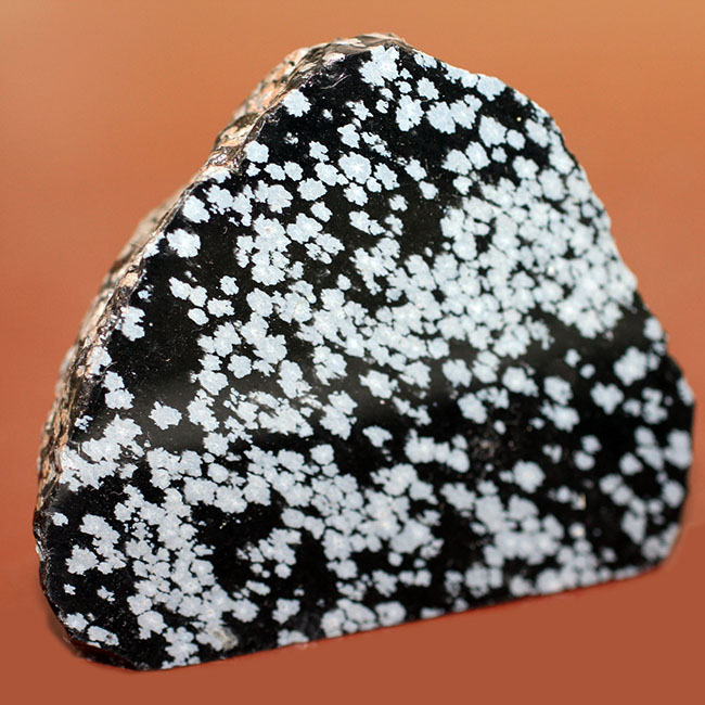 水石 黒と白の斑点 大きめの石 水石 黒と白の斑点 大きめの石