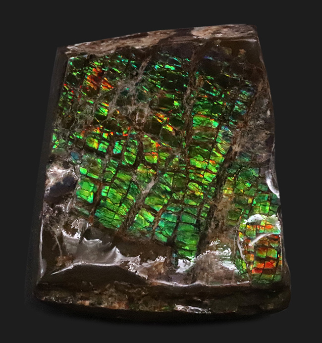 光線のごとき素晴らしいグリーンを呈する、宝石アンモライト(Ammolite)のピース(その2)