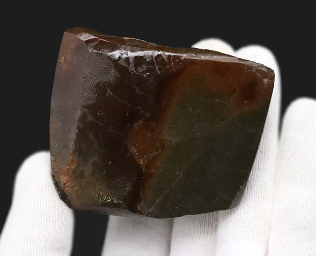 光線のごとき素晴らしいグリーンを呈する、宝石アンモライト(Ammolite)のピース(その6)