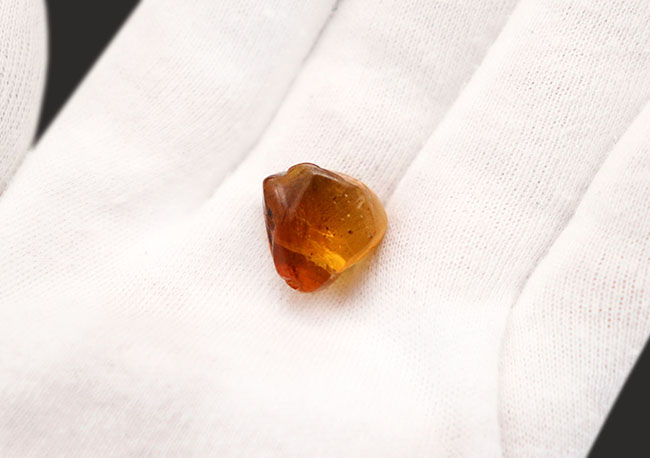 琥珀コレクター必見!驚愕の逸品、およそ1億年前の生物の「羽毛」を内包したビルマ産琥珀、バーマイト(Burmite)。(その5)
