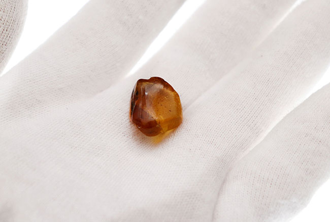 琥珀コレクター必見!驚愕の逸品、およそ1億年前の生物の「羽毛」を内包したビルマ産琥珀、バーマイト(Burmite)。(その8)