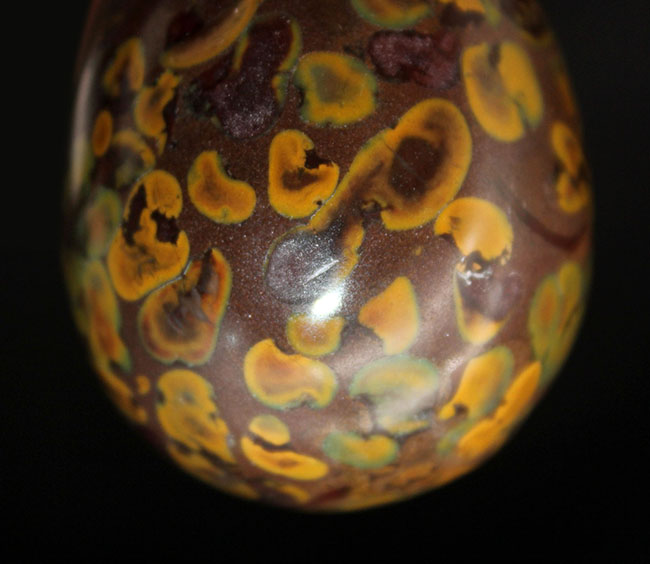 緑色にご注目！南国の果物を連想させるフルーツジャスパー（Jasper