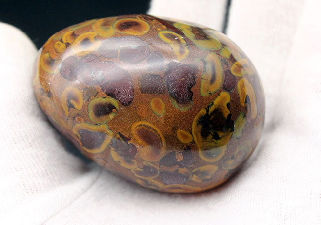 緑色にご注目！南国の果物を連想させるフルーツジャスパー（Jasper