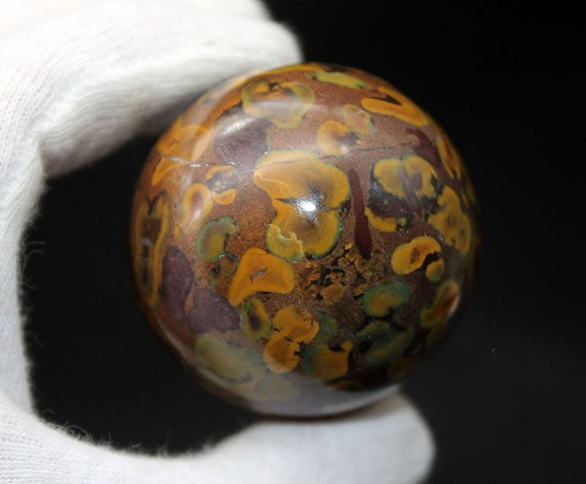 緑色にご注目！南国の果物を連想させるフルーツジャスパー（Jasper