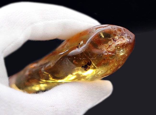 当時の環境がそのまま保存されたようなジオラマ標本。ラージサイズ!蟻や羽虫をはじめ、多数の昆虫内包。9センチに迫る長さに迫るマダガスカル産のコーパル(Copal)。樹液の化石(その11)