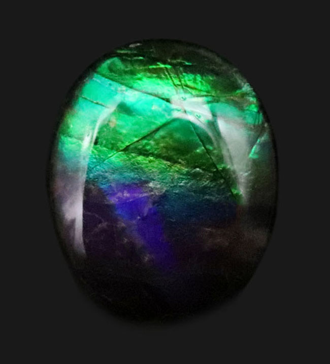 白亜紀からの贈り物！神秘的なブルーを呈する、宝石アンモライト（Ammolite）のピンブローチ（その1）