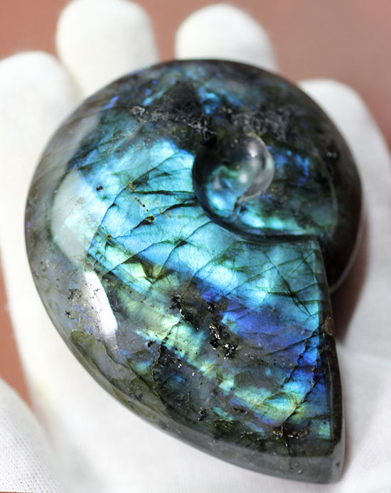 こんなアンモナイト見たことない！？それもそのはず、鉱物ラブラドライトのアンモナイト型標本です。(Labradorite)（その1）