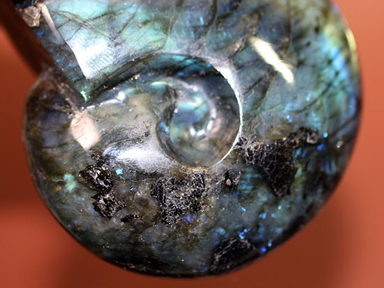 こんなアンモナイト見たことない！？それもそのはず、鉱物ラブラドライトのアンモナイト型標本です。(Labradorite)（その11）