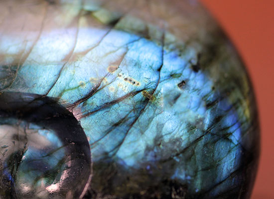 こんなアンモナイト見たことない！？それもそのはず、鉱物