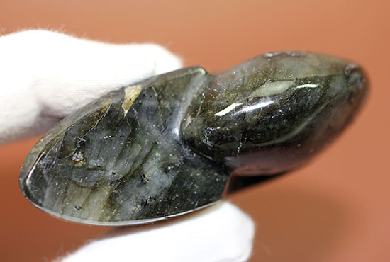 こんなアンモナイト見たことない！？それもそのはず、鉱物ラブラドライトのアンモナイト型標本です。(Labradorite)（その5）