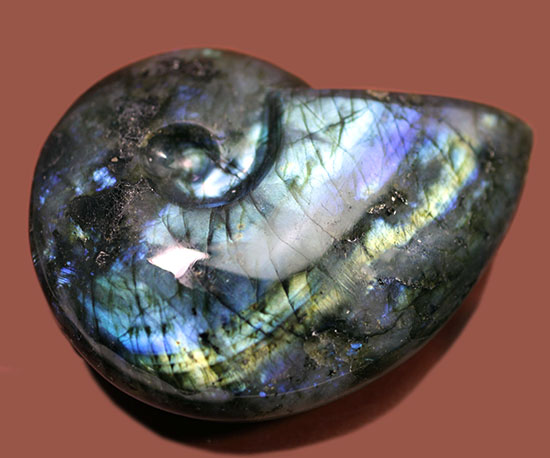 こんなアンモナイト見たことない！？それもそのはず、鉱物ラブラドライトのアンモナイト型標本です。(Labradorite)（その7）