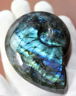 こんなアンモナイト見たことない！？それもそのはず、鉱物ラブラドライトのアンモナイト型標本です。(Labradorite)