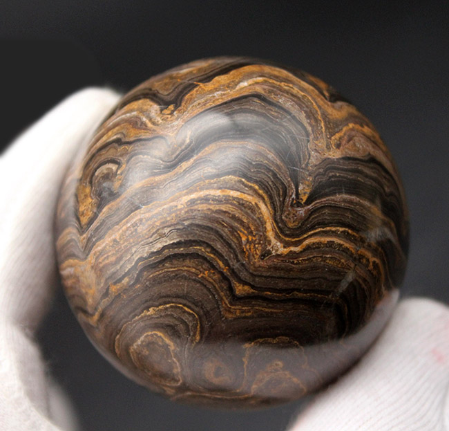 人気の球形のストロマトライト（化石）のカボション。古代の地球に酸素を生み出した活動履歴が残されています。（その1）
