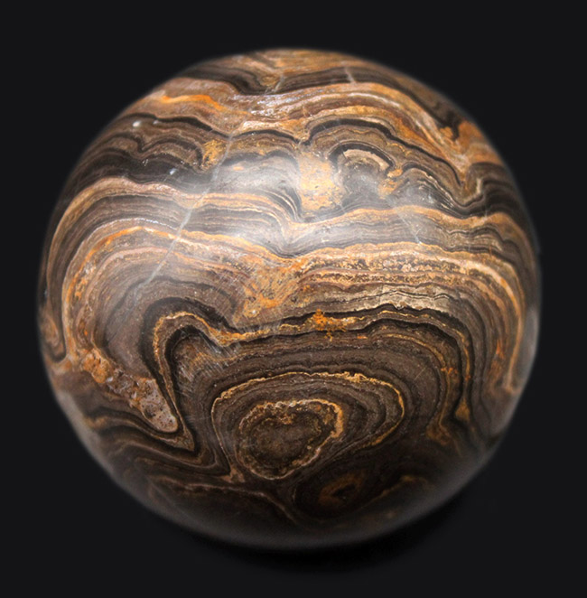 人気の球形のストロマトライト（化石）のカボション。古代の地球に酸素を生み出した活動履歴が残されています。（その3）