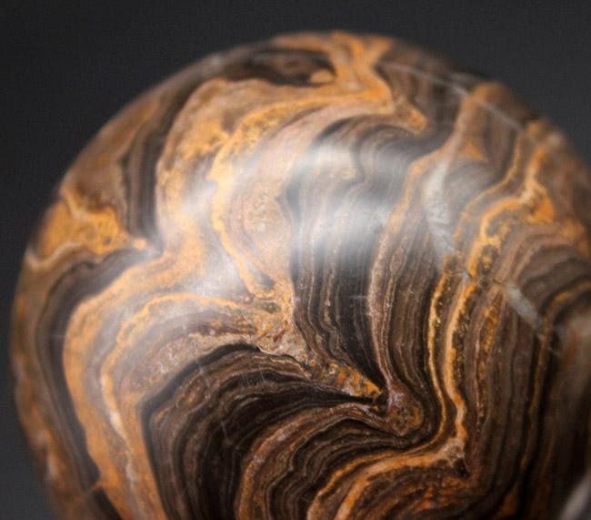 人気の球形のストロマトライト（化石）のカボション。古代の地球に酸素を生み出した活動履歴が残されています。（その4）