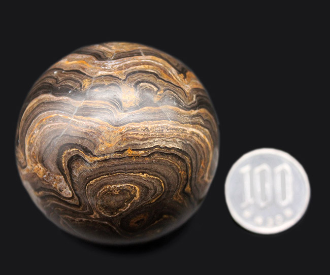 人気の球形のストロマトライト（化石）のカボション。古代の地球に酸素を生み出した活動履歴が残されています。（その7）