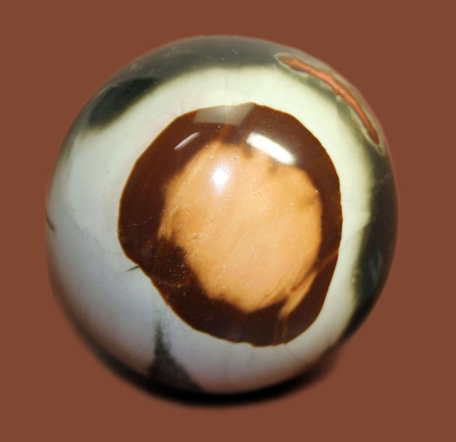 目玉の親父のような、ポリクロームジャスパー(Polychrome Jasper)。天然とは思えない多色彩と面白い模様が特徴。（その1）