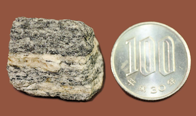 地球上で最も古い石の一つ、アカスタ片麻岩（その10）