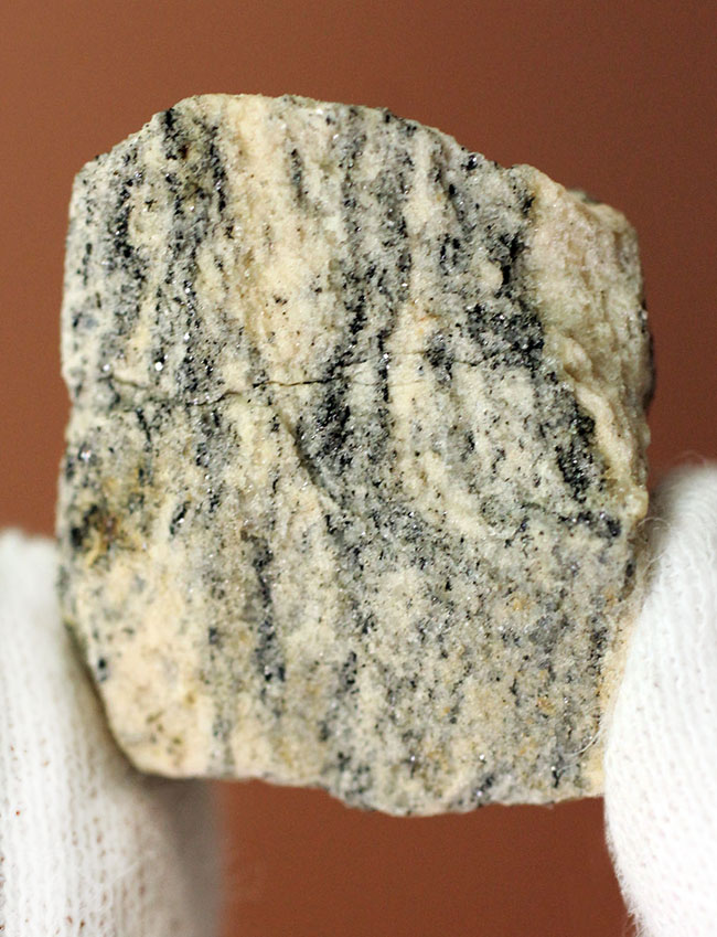 地球上で最も古い石の一つ、アカスタ片麻岩（その2）