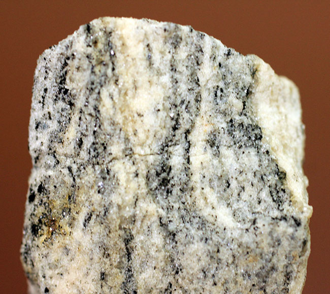 地球上で最も古い石の一つ、アカスタ片麻岩（その3）