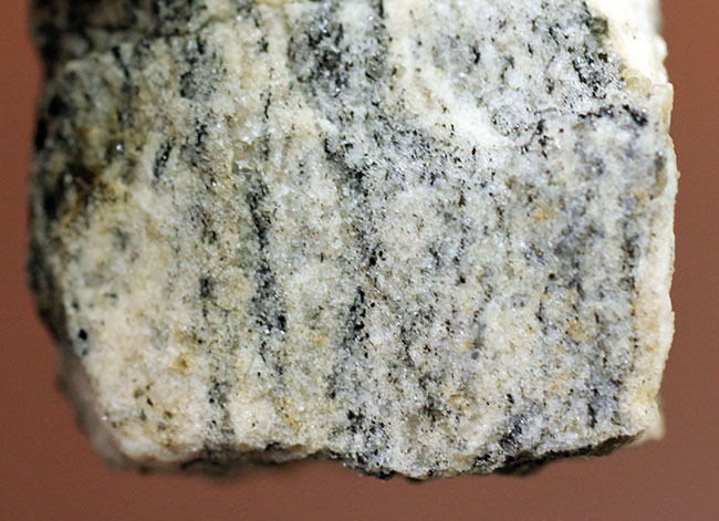地球上で最も古い石の一つ、アカスタ片麻岩（その4）