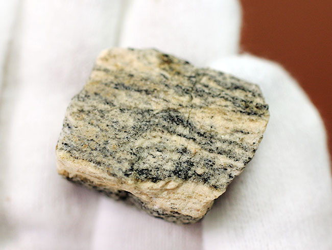 地球上で最も古い石の一つ、アカスタ片麻岩（その8）