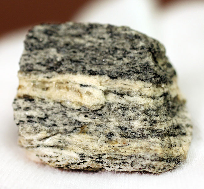 地球上で最も古い石の一つ、アカスタ片麻岩（その9）