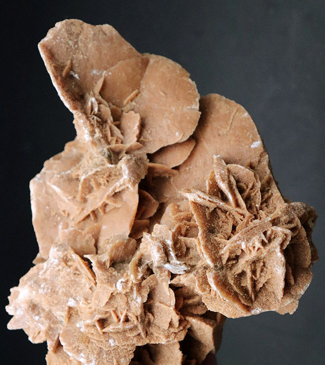 実はその昔、海水があったことを意味している、不思議な鉱物、砂漠の