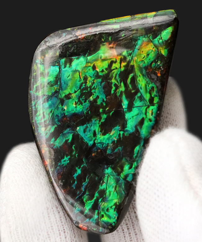 キラキラ！初夏にぴったりの美しいグリーン色に輝くアンモ”ラ“イト（Ammolite）のピース（その1）