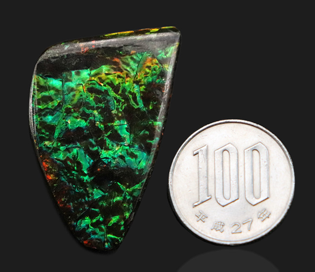 キラキラ!初夏にぴったりの美しいグリーン色に輝くアンモ”ラ“イト(Ammolite)のピース(その10)