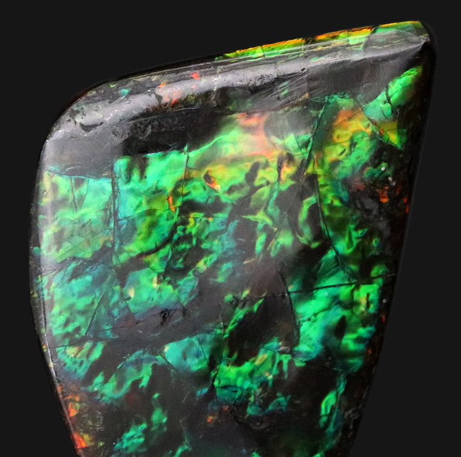 キラキラ!初夏にぴったりの美しいグリーン色に輝くアンモ”ラ“イト(Ammolite)のピース(その2)