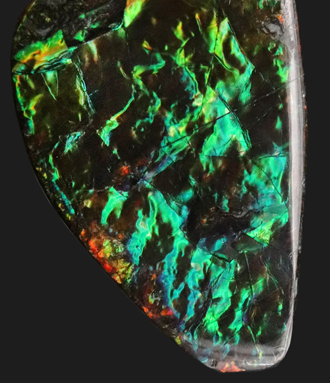 キラキラ!初夏にぴったりの美しいグリーン色に輝くアンモ”ラ“イト(Ammolite)のピース(その3)