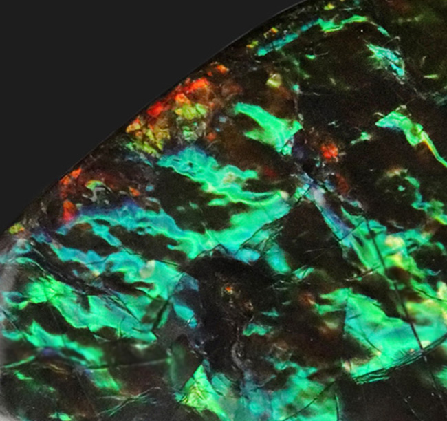 キラキラ!初夏にぴったりの美しいグリーン色に輝くアンモ”ラ“イト(Ammolite)のピース(その4)