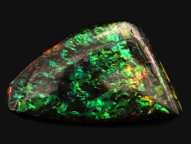 キラキラ!初夏にぴったりの美しいグリーン色に輝くアンモ”ラ“イト(Ammolite)のピース(その7)