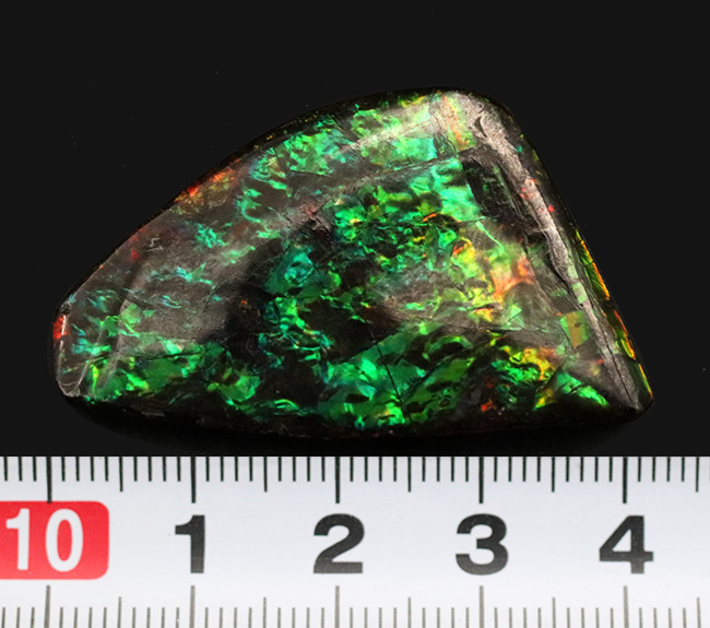 キラキラ!初夏にぴったりの美しいグリーン色に輝くアンモ”ラ“イト(Ammolite)のピース(その9)