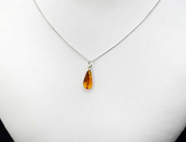 人類最古のジュエリーの一つ、古代の虫が内包された、バルト海産琥珀(Amber)を使ったペンダントトップ(シルバーチェーン、高級ジュエリーケース付き。)(その3)