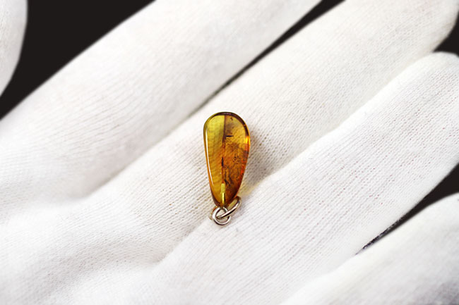 人類最古のジュエリーの一つ、古代の虫が内包された、バルト海産琥珀（Amber）を使ったペンダントトップ（シルバーチェーン、高級ジュエリーケース付き。）（その5）
