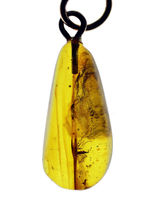 人類最古のジュエリーの一つ、古代の虫が内包された、バルト海産琥珀（Amber）を使ったペンダントトップ（シルバーチェーン、高級ジュエリーケース付き。）