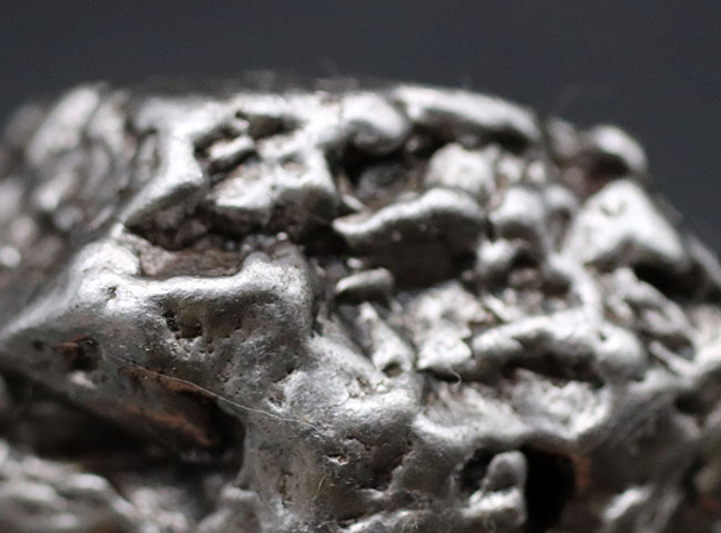 アルゼンチン・チャコ州で採集された、世界的に有名な鉄隕石、カンポ・デル・シエロ（その3）
