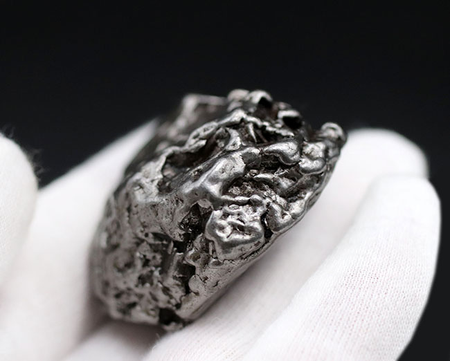 アルゼンチン・チャコ州で採集された、世界的に有名な鉄隕石、カンポ・デル・シエロ（その5）