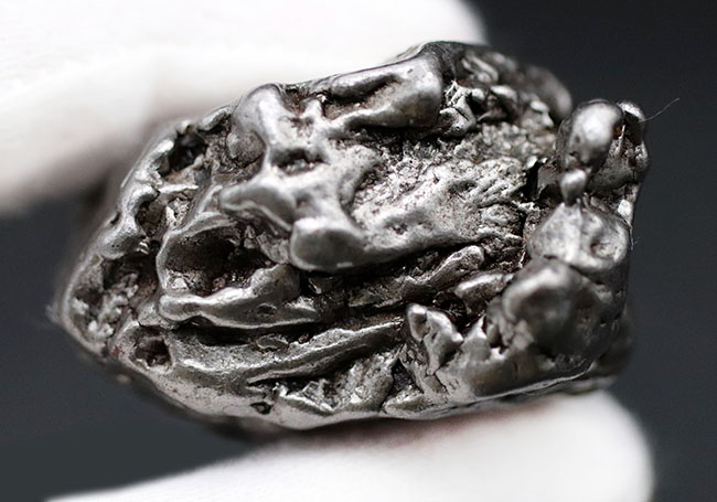 アルゼンチン・チャコ州で採集された、世界的に有名な鉄隕石、カンポ・デル・シエロ（その7）