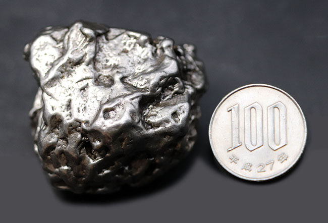 アルゼンチン・チャコ州で採集された、世界的に有名な鉄隕石、カンポ・デル・シエロ（その9）
