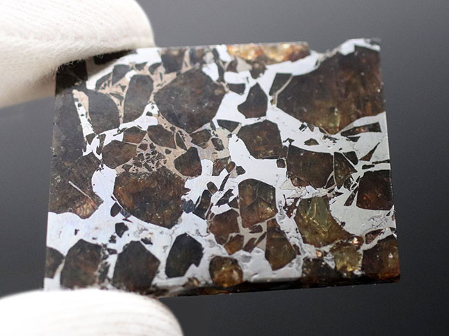 石鉄隕石、ブラヒン・パラサイト（その3）