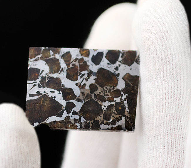 石鉄隕石、ブラヒン・パラサイト（その4）