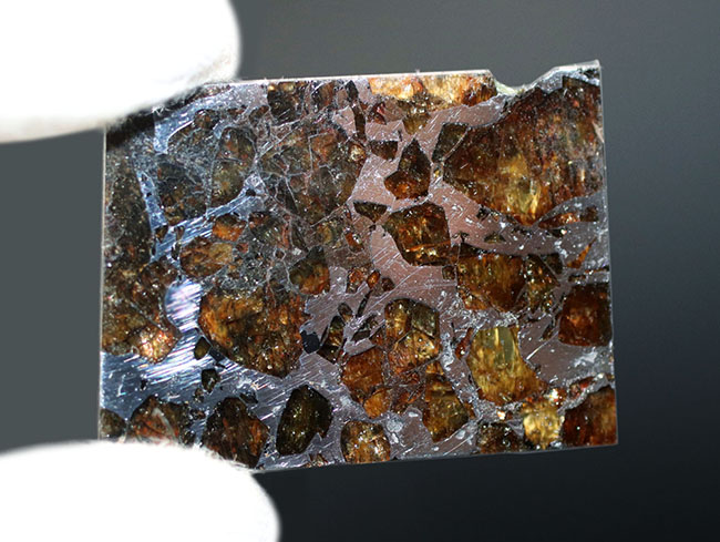 石鉄隕石、ブラヒン・パラサイト