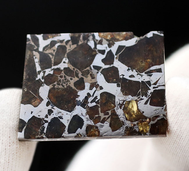 石鉄隕石、ブラヒン・パラサイト（その6）