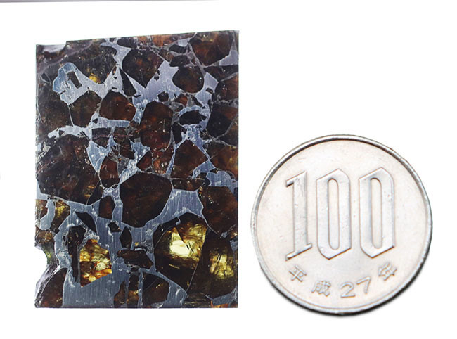 石鉄隕石、ブラヒン・パラサイト（その9）